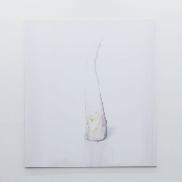 Ze série Images That Occupy Thoughts